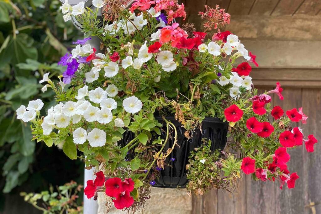 The Old Manor Coach House Apartment Cirencester Luaran gambar